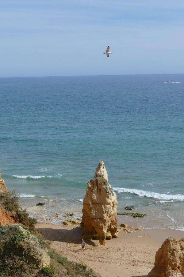 Praia Da Rocha, Algarve Sunny Apartment بورتيماو المظهر الخارجي الصورة